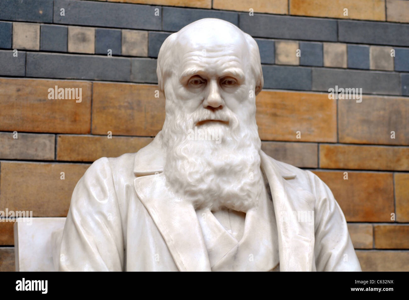 Charles Darwin statue, Natural History Museum, London, Britain, UK Stock Photo