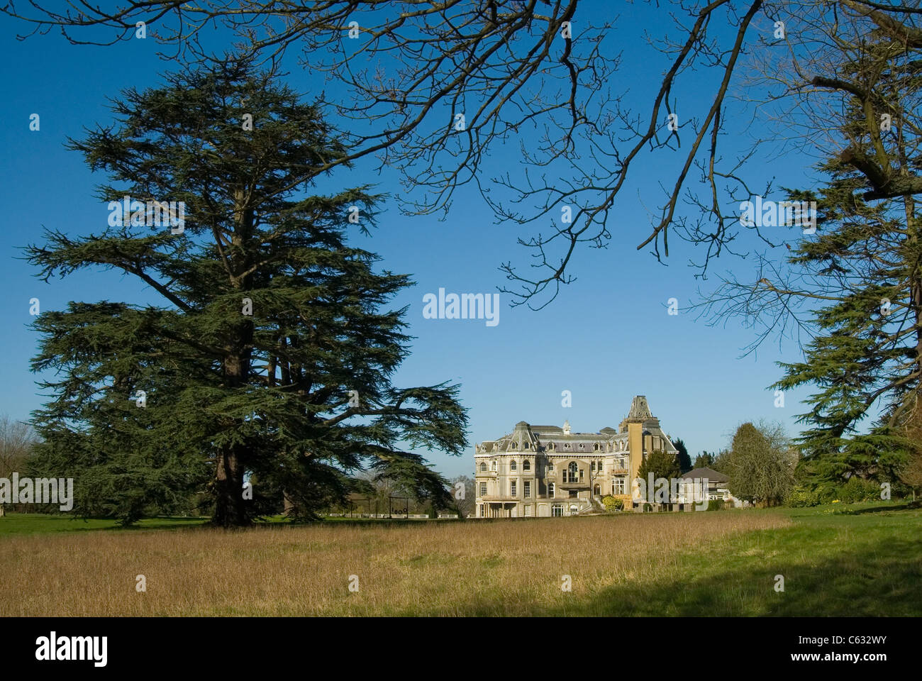 Park Place House at Remenham near Henley in Berkshire, UK in parkland setting with giant cedar tree in front of the house Stock Photo