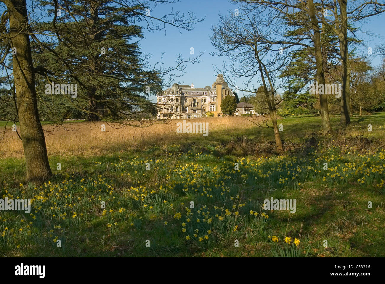 Park Place at Remenham near Henley in Berkshire set in parkland with daffodils in the foreground Stock Photo