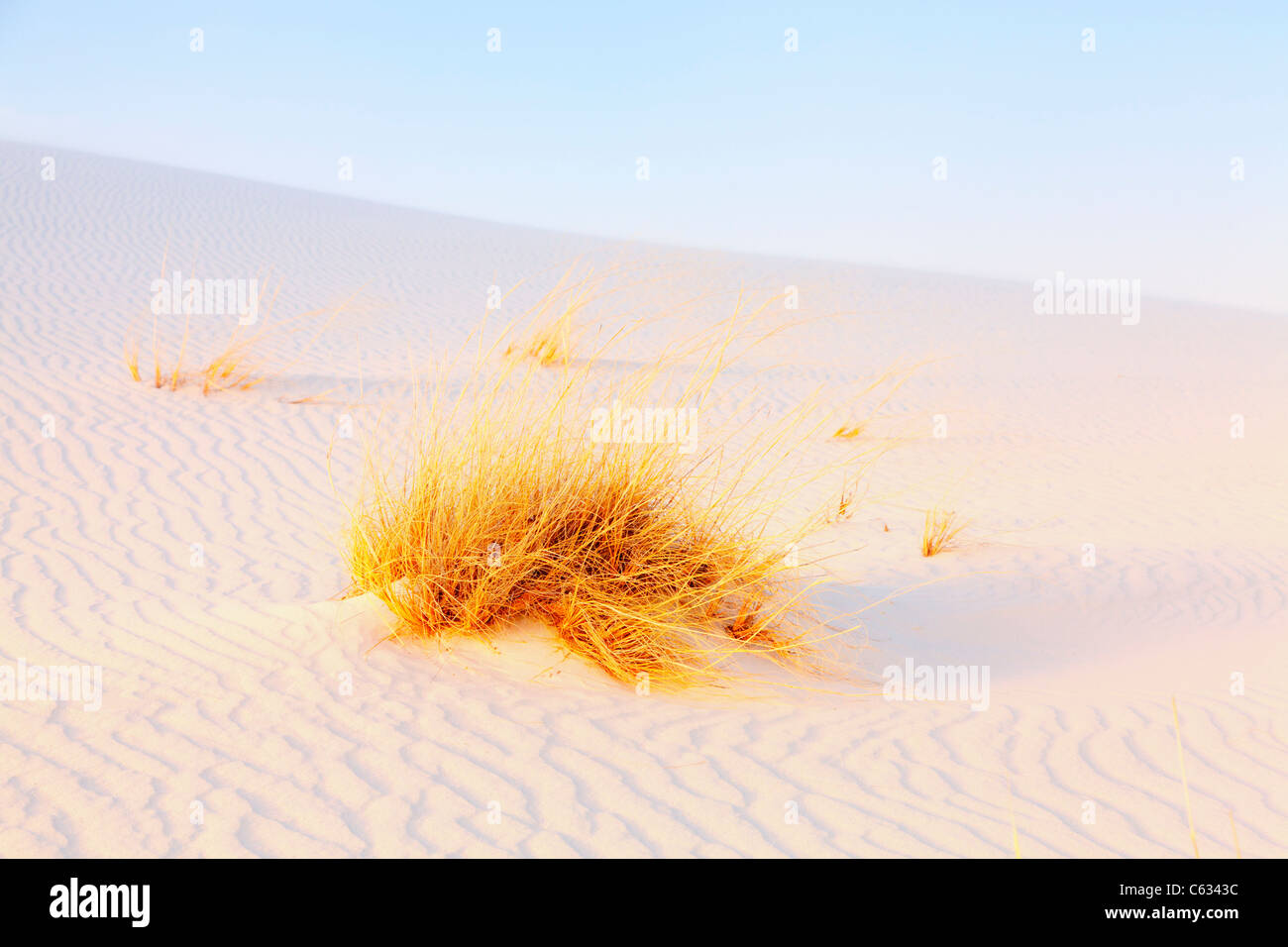 Gypsum dunes and grasses at White Sands Stock Photo