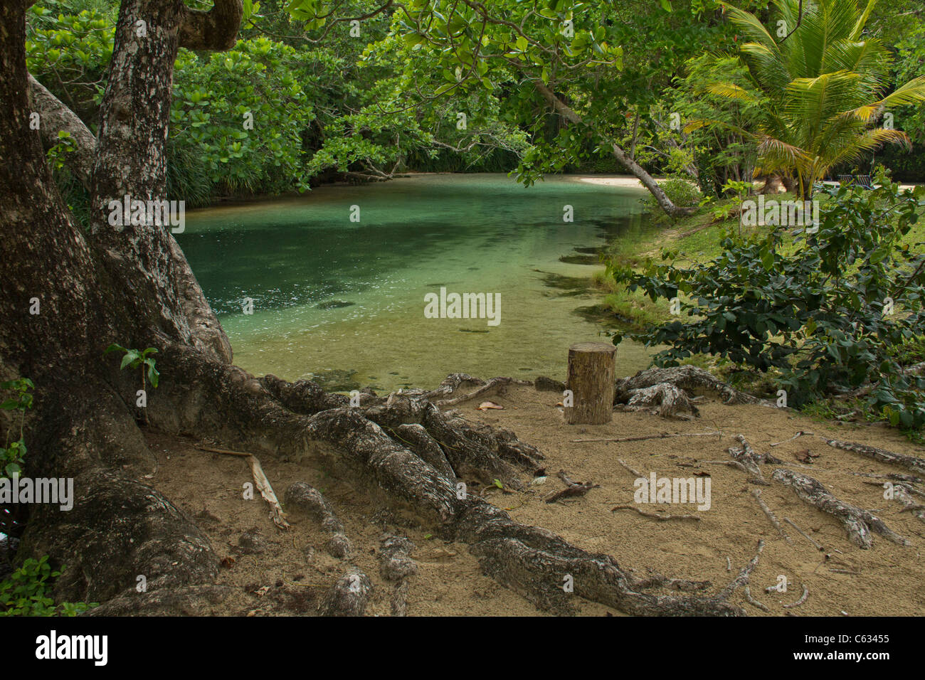 Frenchman's cove in Jamaica Stock Photo Alamy