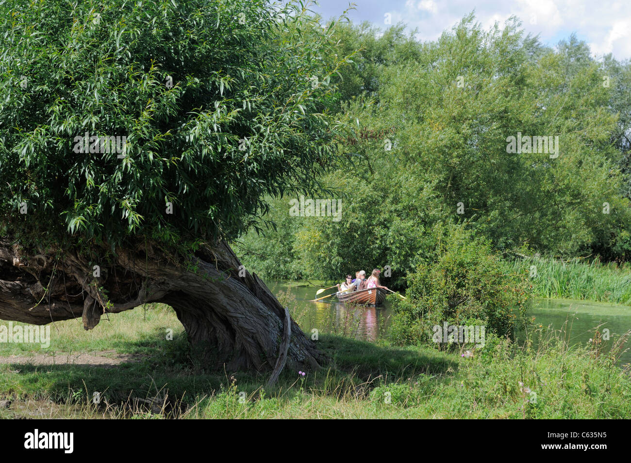 A family enjoying a day out on a rowing boat on the River Stour in the Essex countryside, England. Stock Photo