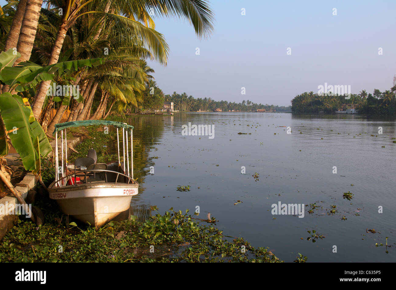 Panoramic view of Backwaters in evening light Kerala South India Stock Photo