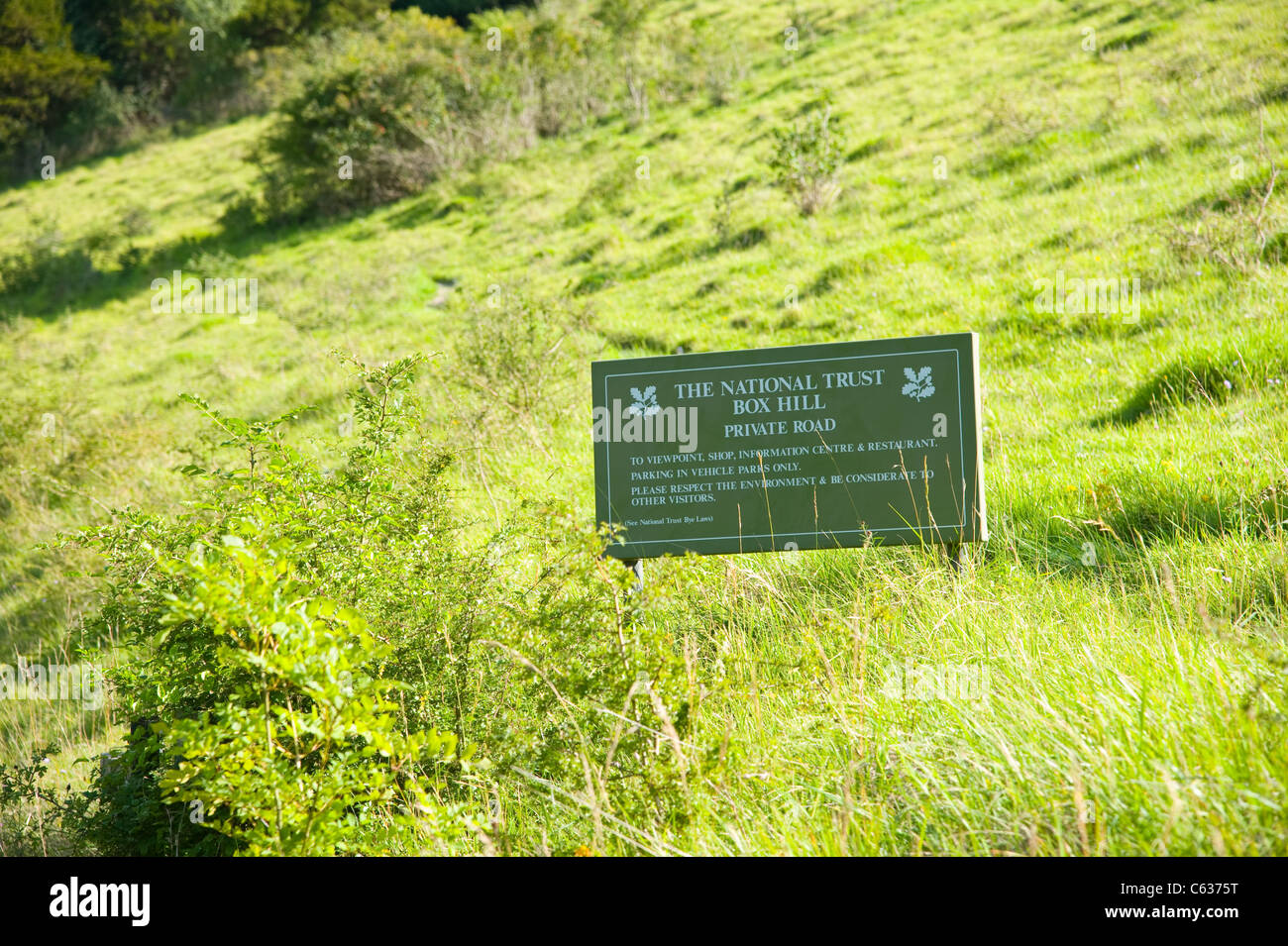 The National Trust Box HIll in Dorking, Surrey. Surrey Hills. Cycling ...