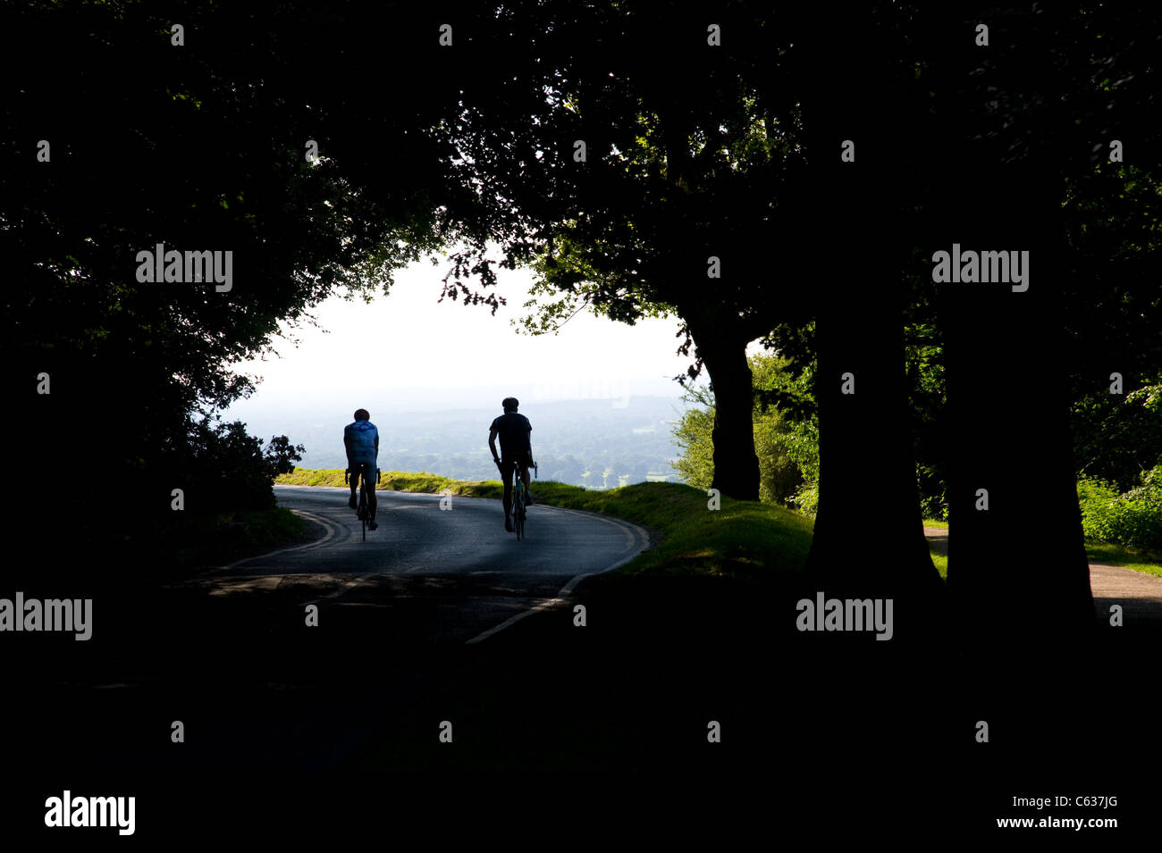 The National Trust Box HIll in Dorking, Surrey. Surrey Hills. Cycling event of 2012 London Olympics Stock Photo