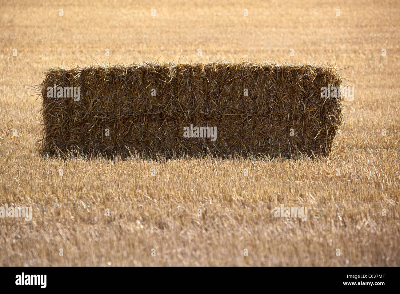 Harvested Wheat Fields with Bales of Hay Stock Photo Alamy