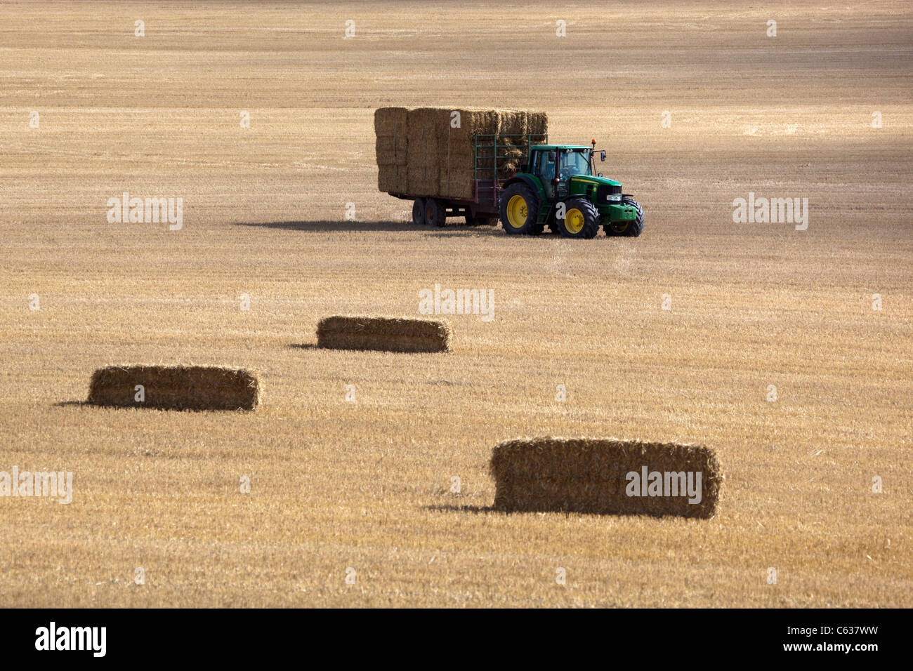 Harvested Wheat Fields with Bales of Hay Stock Photo Alamy