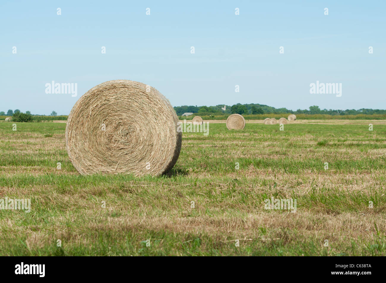 Straw rolls on farmer field in the summer Stock Photo - Alamy