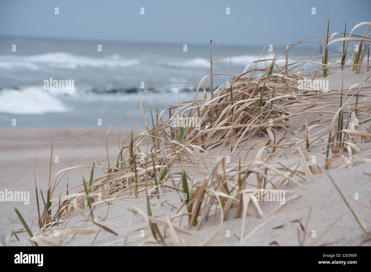 sandy dune on the seashore Stock Photo - Alamy