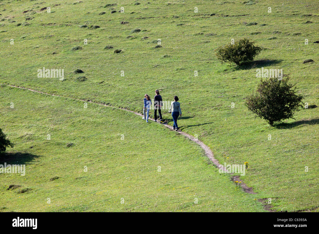 Milk hill wiltshire hires stock photography and images Alamy