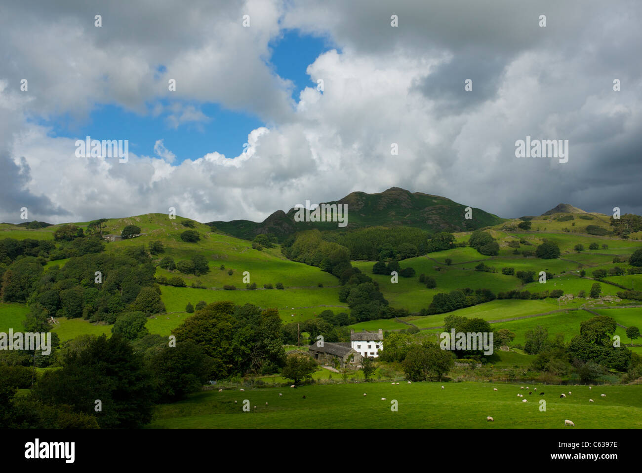Farm Lumbholme with Great Stickle in the background, Lickle Valley
