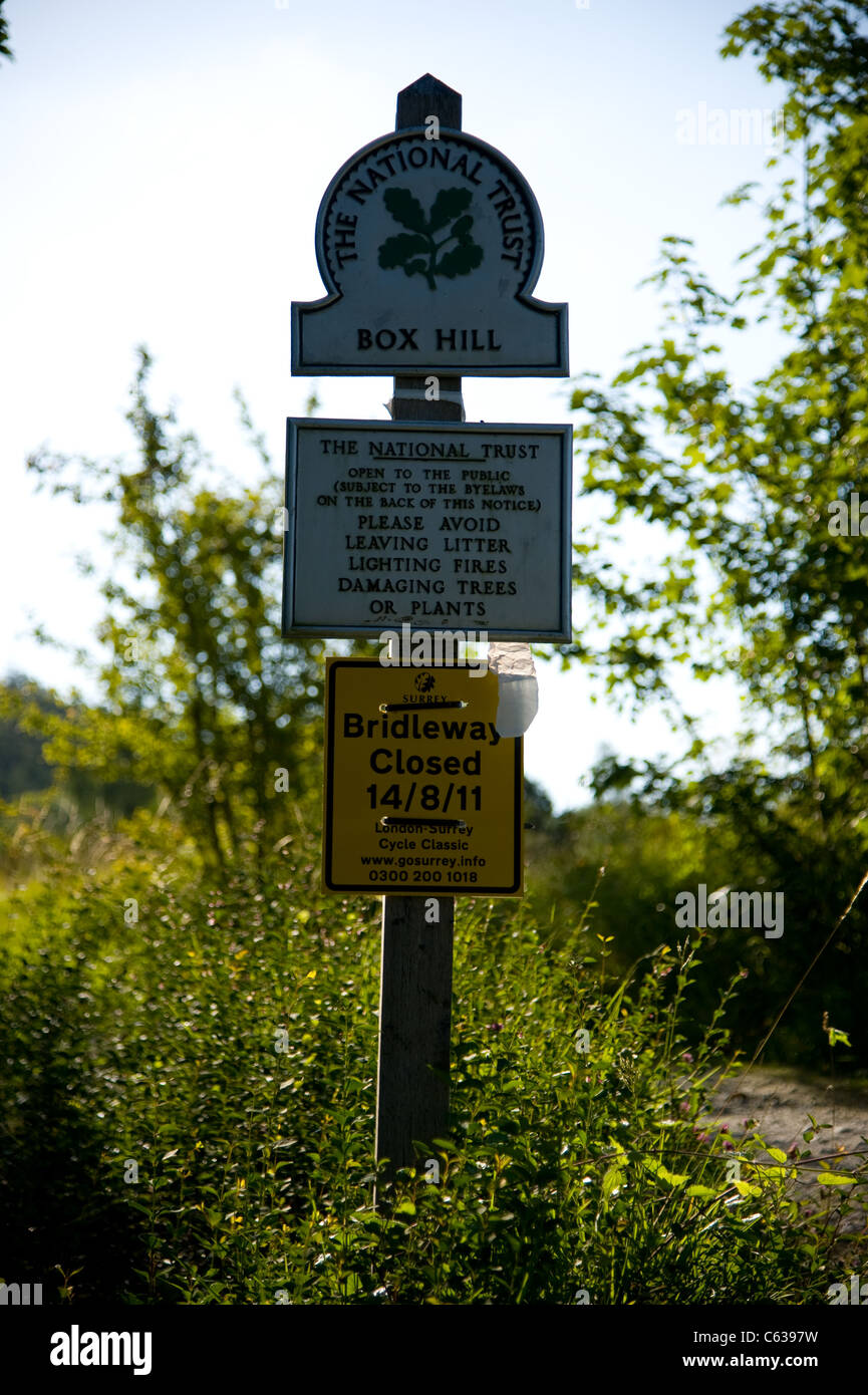 The National Trust Box HIll in Dorking, Surrey. Surrey Hills. Cycling ...