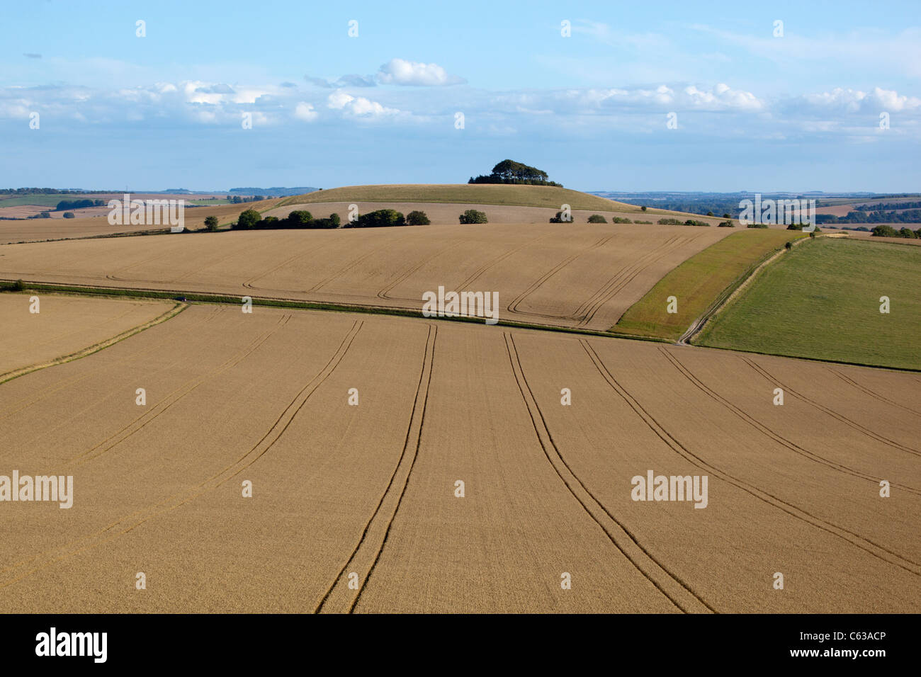 View of Wheat Fields from Milk Hill in Wiltshire Stock Photo Alamy