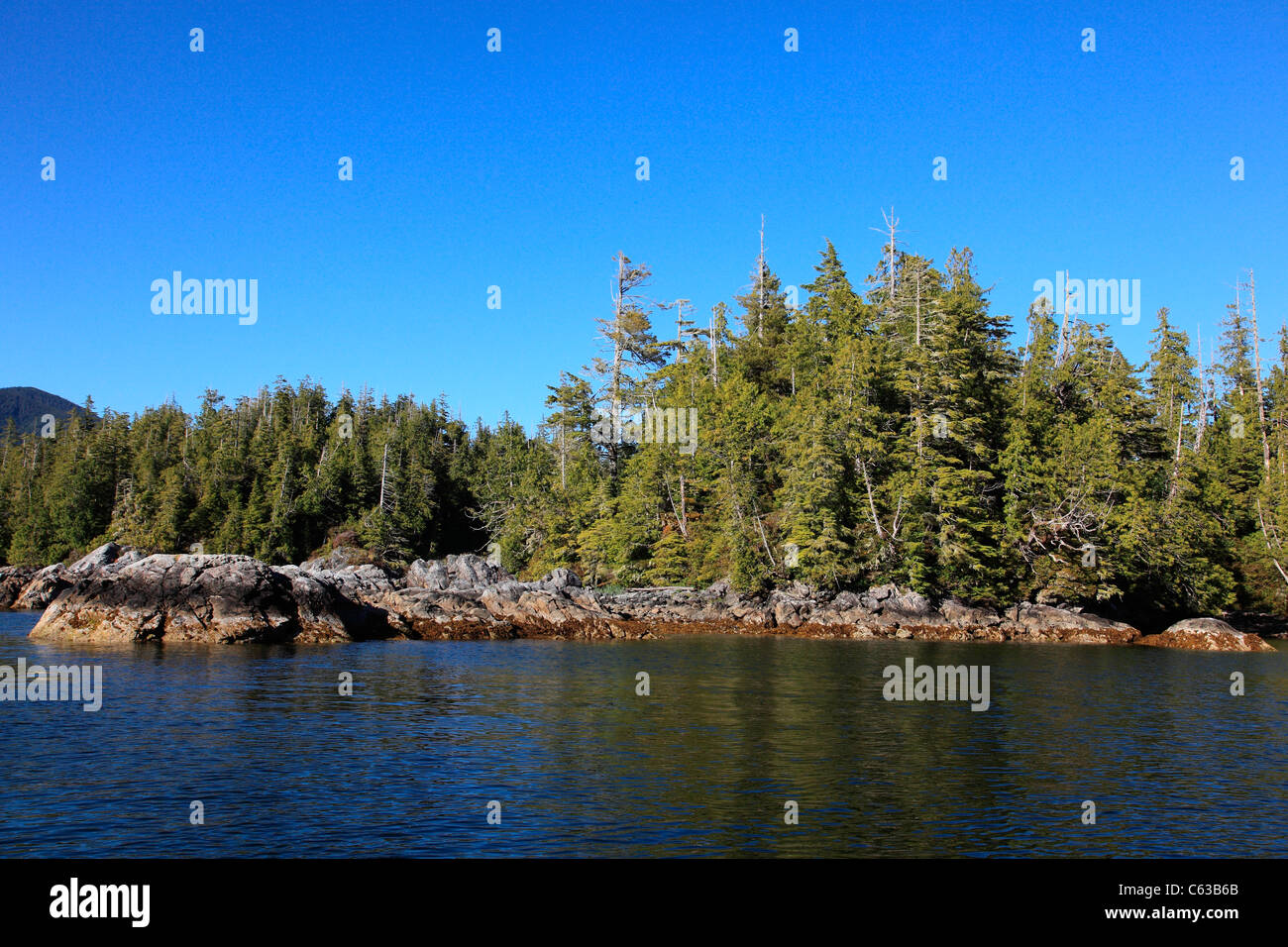 Calm waters of barkley sound in the broken island group on a summer evening. Stock Photo