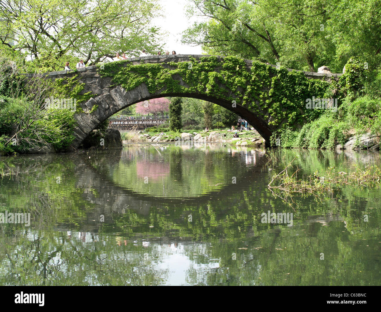 Central Park Bridges