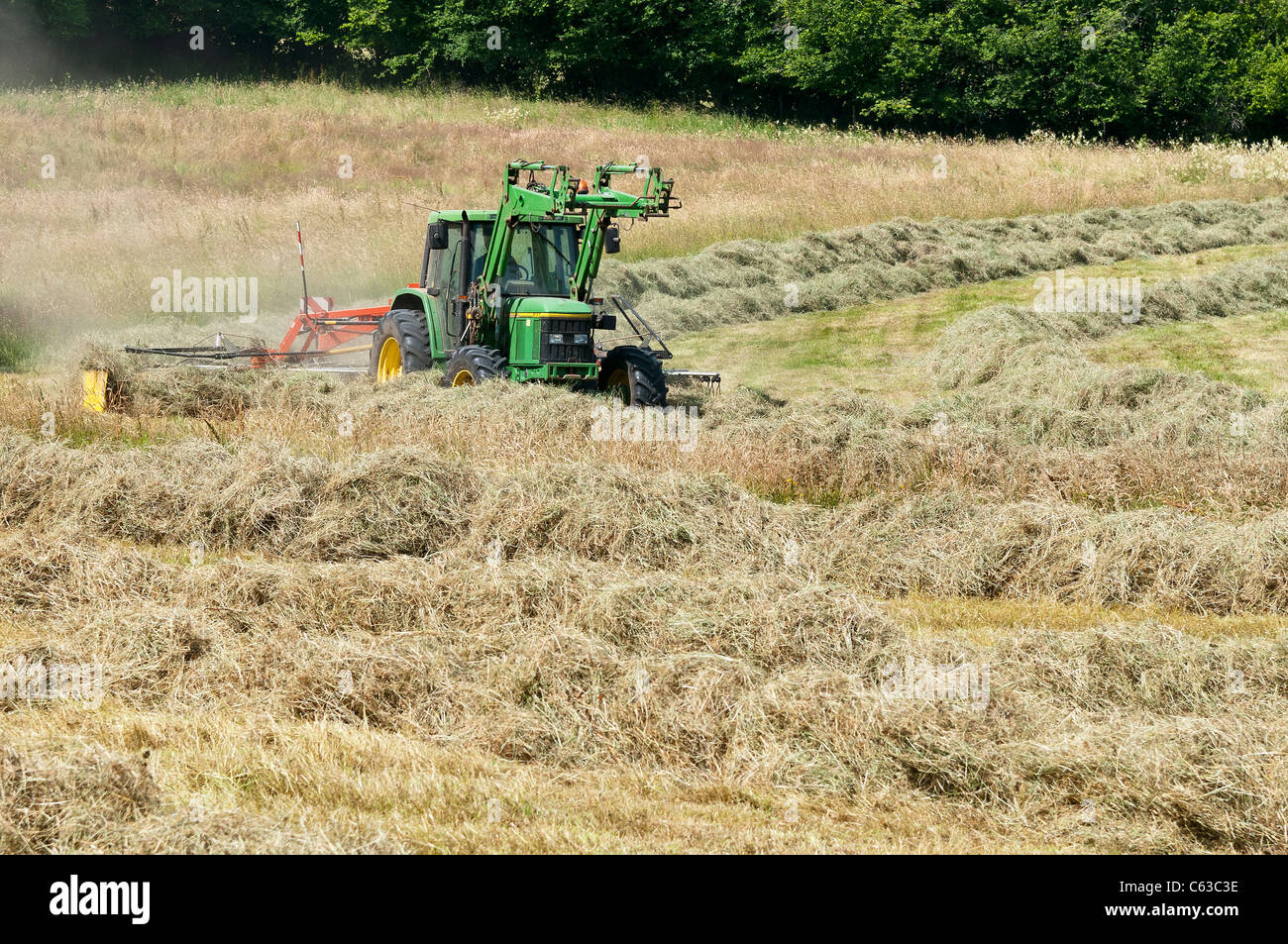A tractor tedding  a freshly cut meadow. Stock Photo
