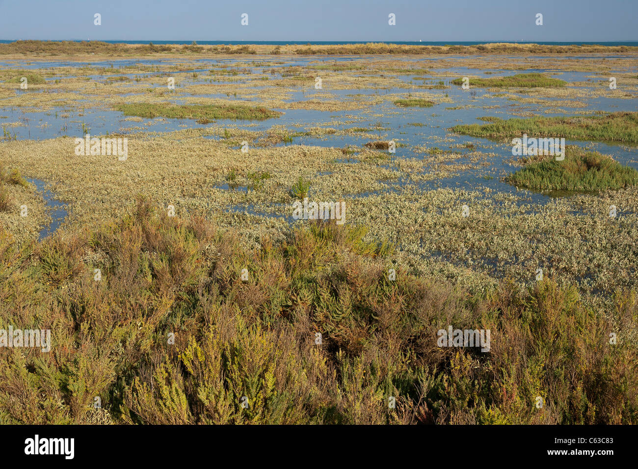 behind-dune-at-hide-tide-stock-photo-alamy