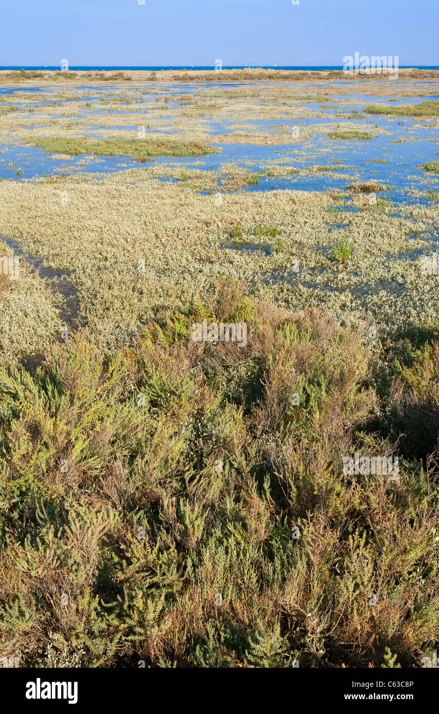 behind-dune-at-hide-tide-stock-photo-alamy