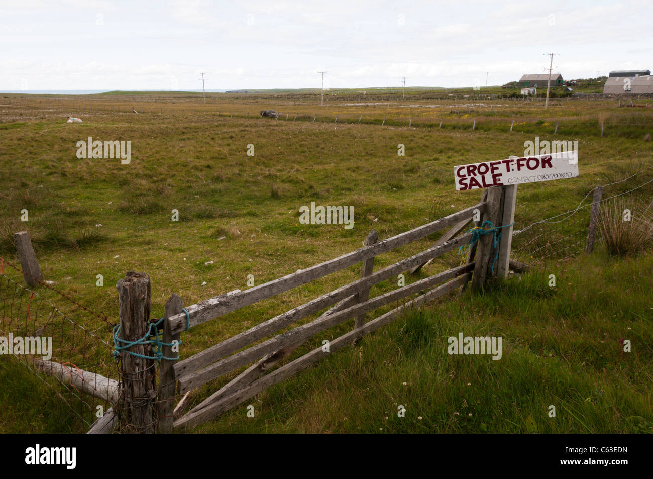 A  Croft For Sale sign on land for sale on the Isle of Lewis in the Outer Hebrides Stock Photo