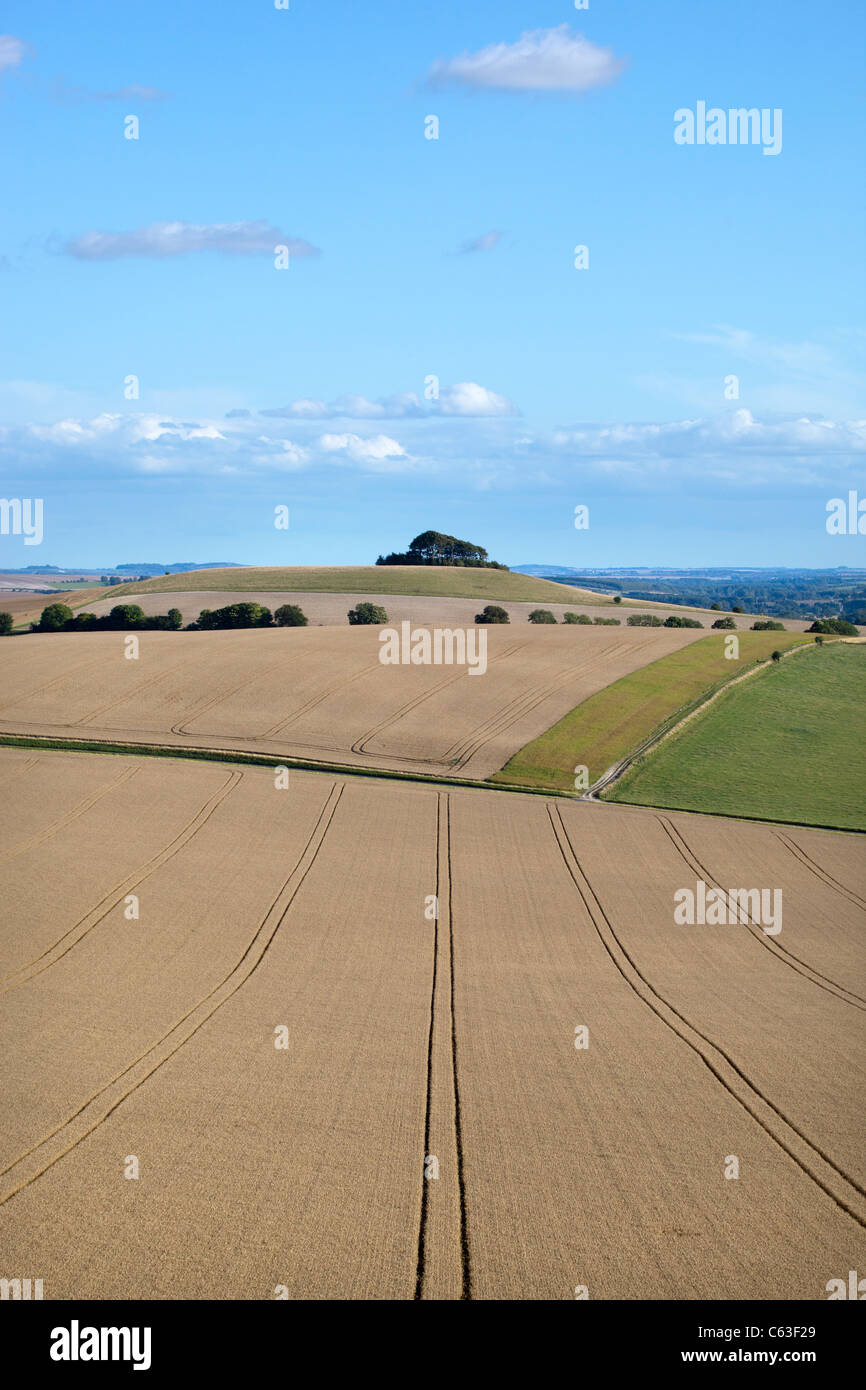 Milk Hill In Wiltshire High Resolution Stock Photography and Images Alamy