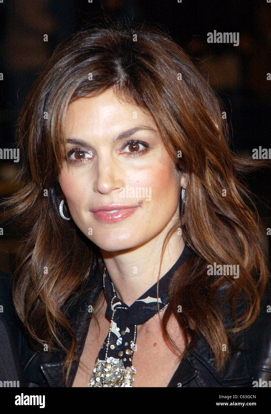 Cindy Crawford Net Worth 2025 Update vrogue.co