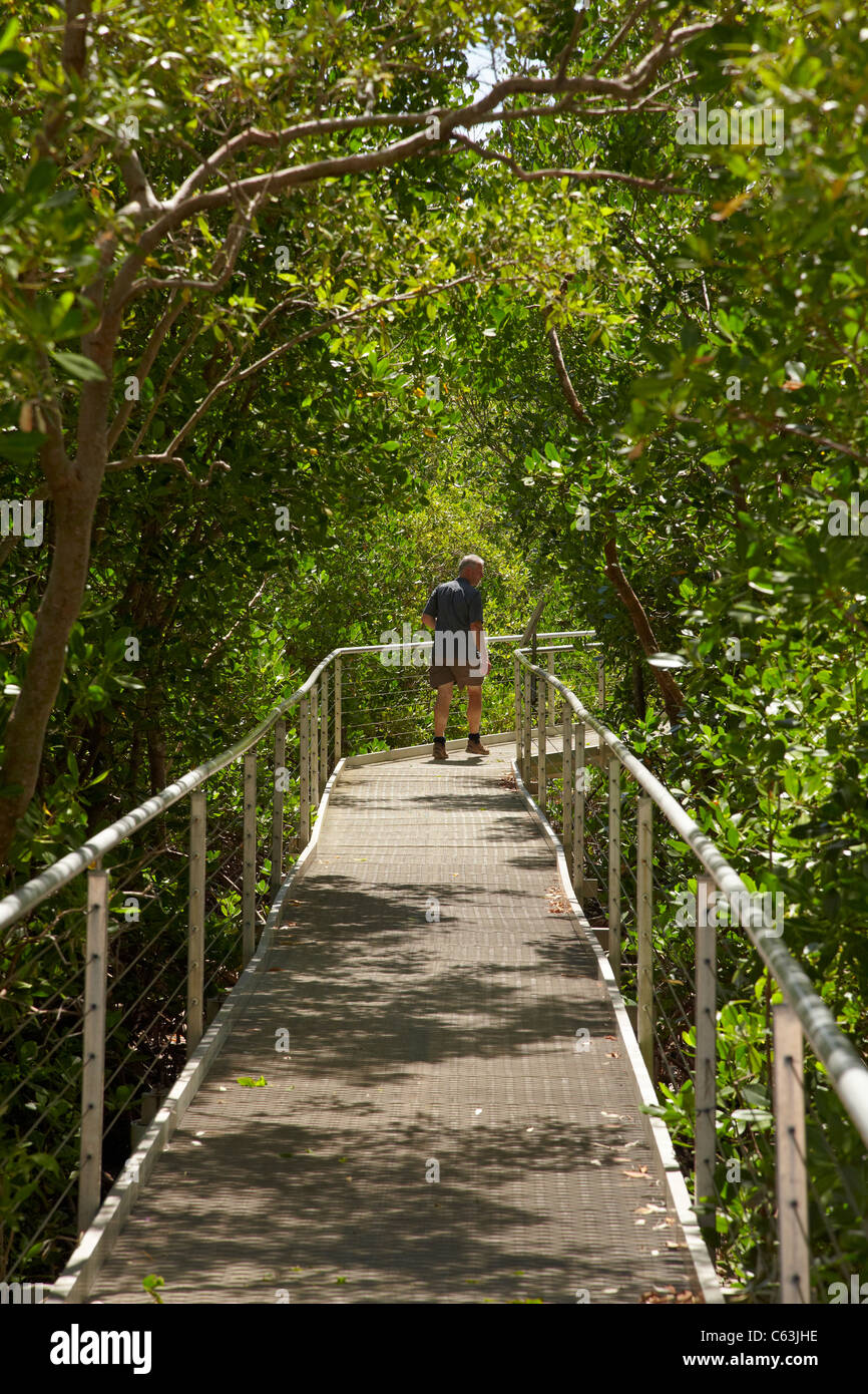 Mangrove Boardwalk, East Point Recreation Reserve, Darwin, Northern
