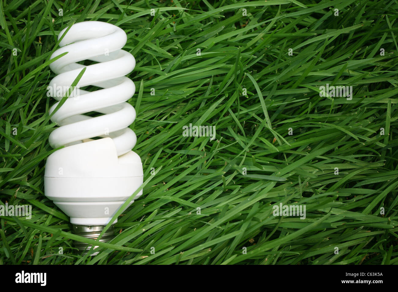 Energy saving lamp on green grass,energy-saving concept. Stock Photo