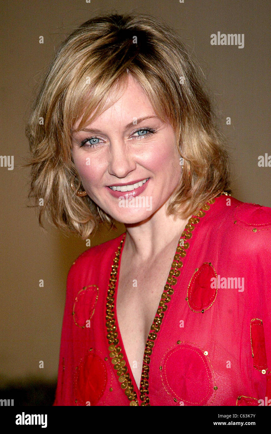 Amy Carlson at arrivals for AEON FLUX Premiere, The ArcLight Stock ...