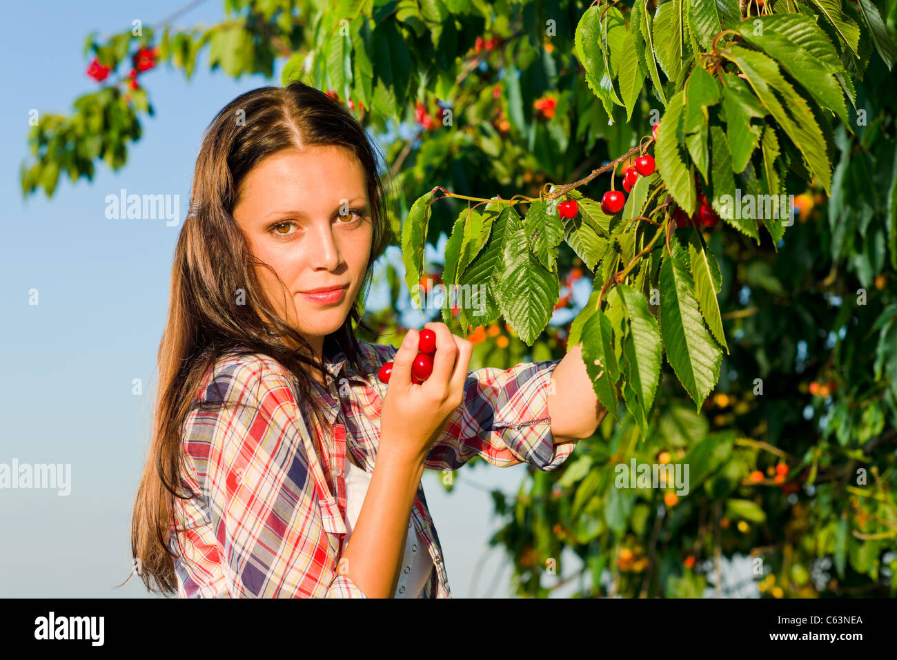 Девушка с вишней. Девушка с вишней. Барышня черешня. Черри пикинг. Вишня шпанка.