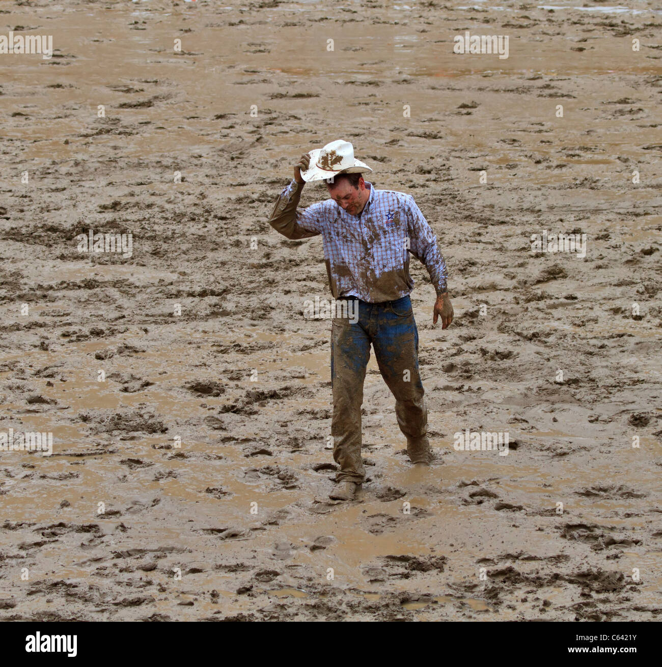 Mud covered cowboy at the Calgary Stampede, Canada. Stock Photo