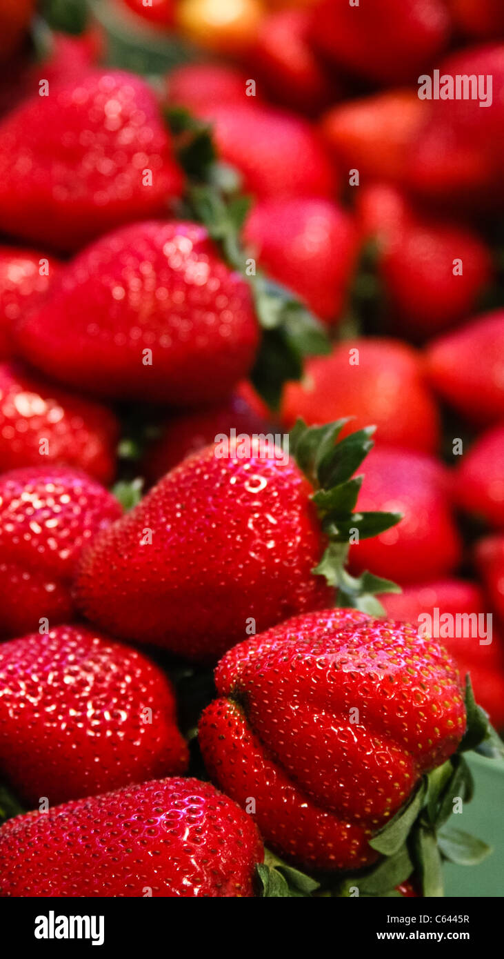 Bright juicy ripe strawberries hi-res stock photography and images - Alamy