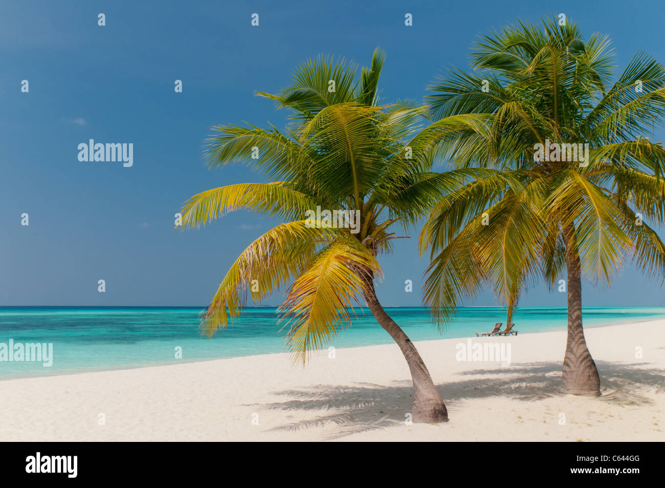 Lagoon with coconut palm trees hi-res stock photography and images - Alamy