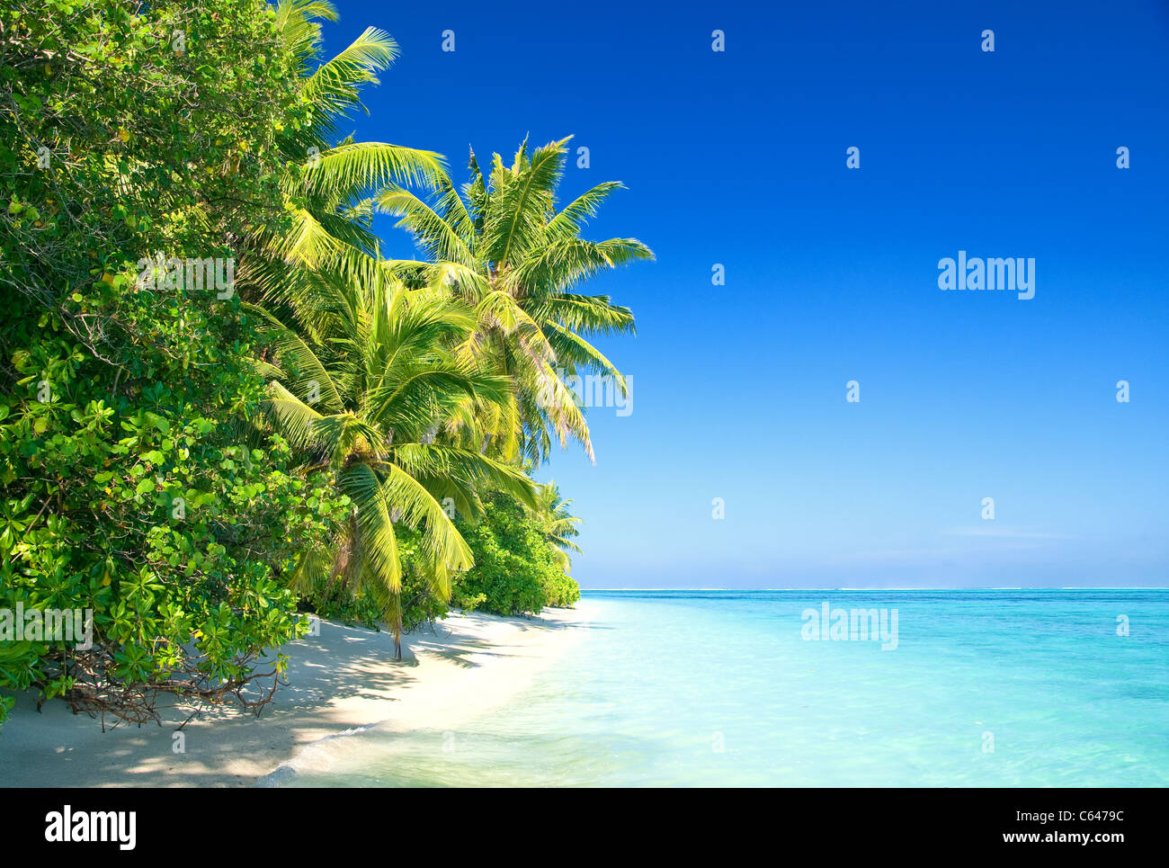 Tropical Beach with Coconut Palm Trees Stock Photo - Alamy