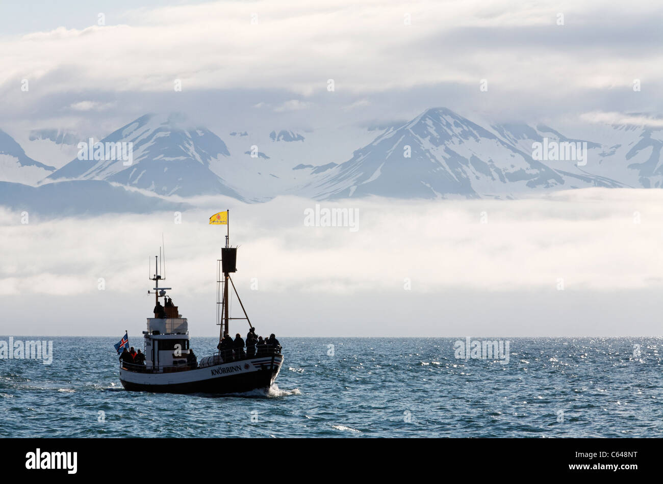 Whale watching boat in Skjalfandi Bay, Husavik, Iceland Stock Photo - Alamy