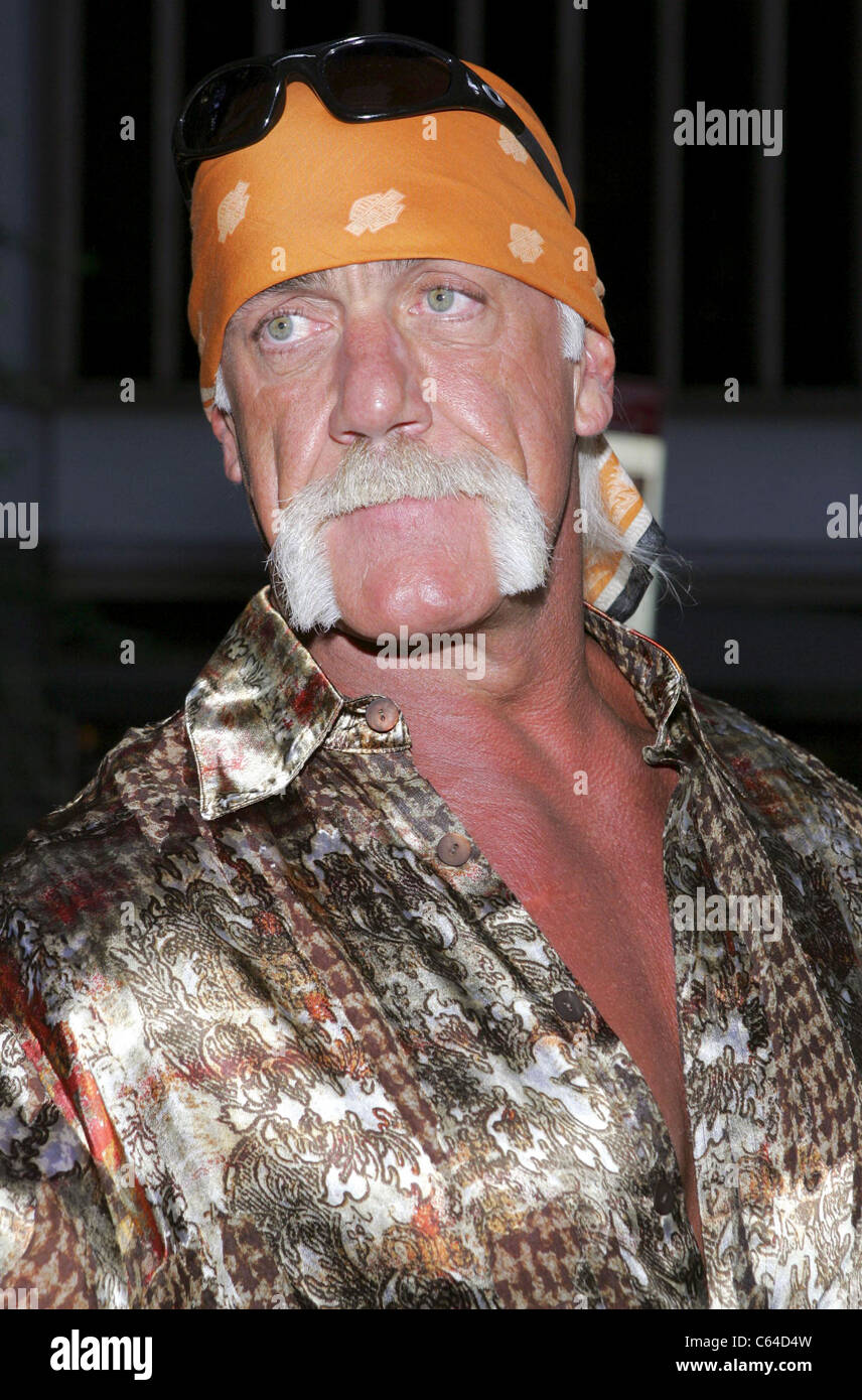 new collection hogan