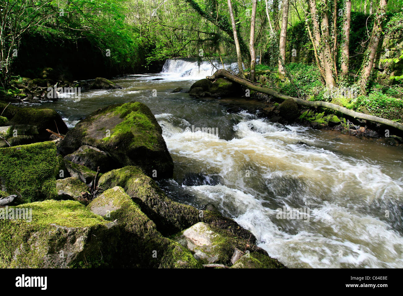 River La Varenne (Orne, Normandy, France). Stock Photo