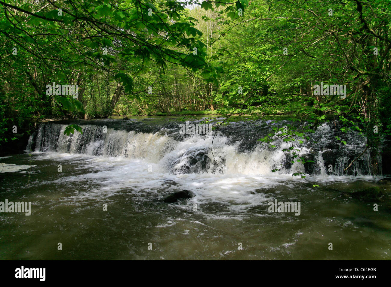River La Varenne (Orne, Normandy, France). Stock Photo