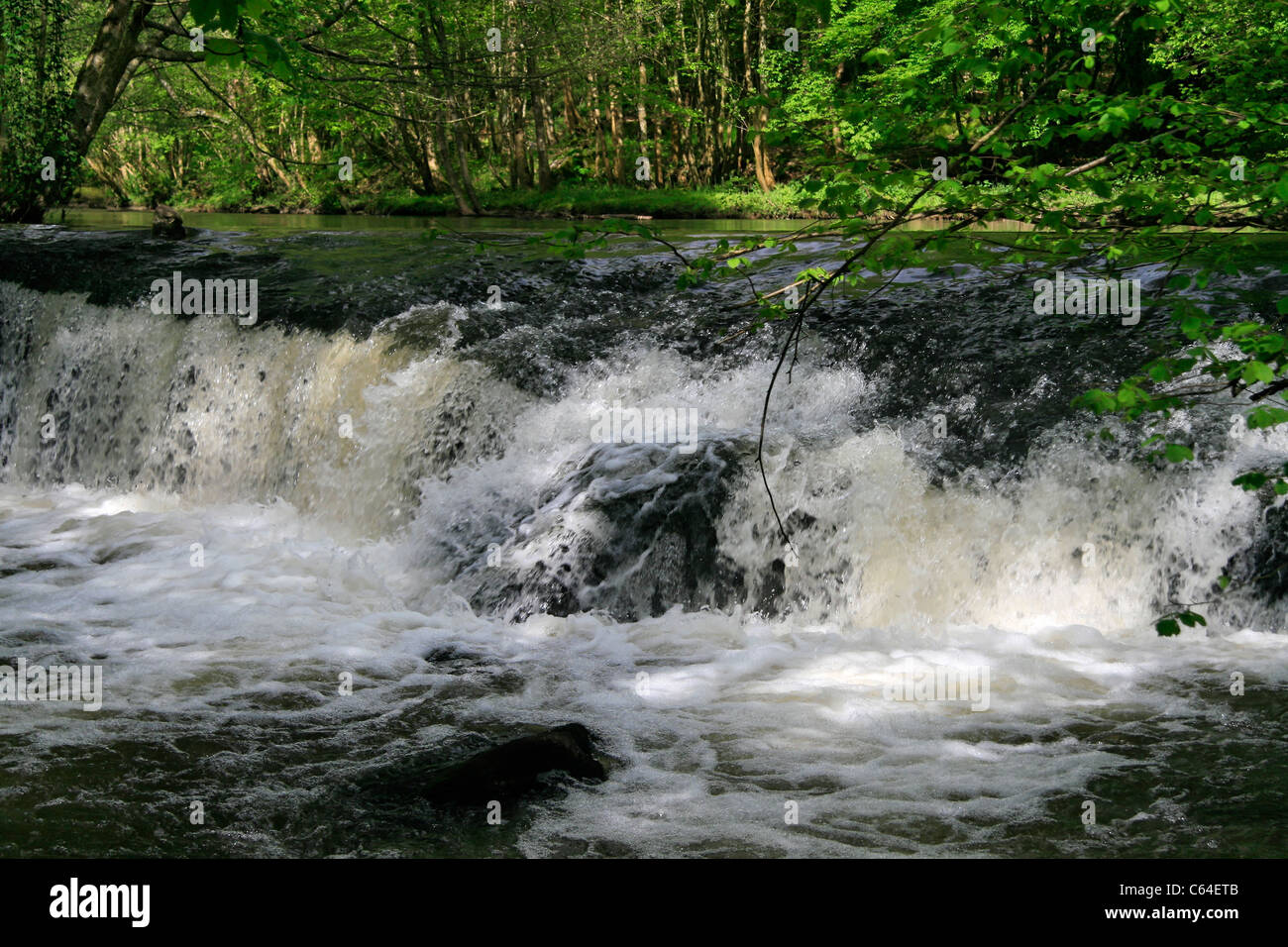 River La Varenne (Orne, Normandy, France). Stock Photo