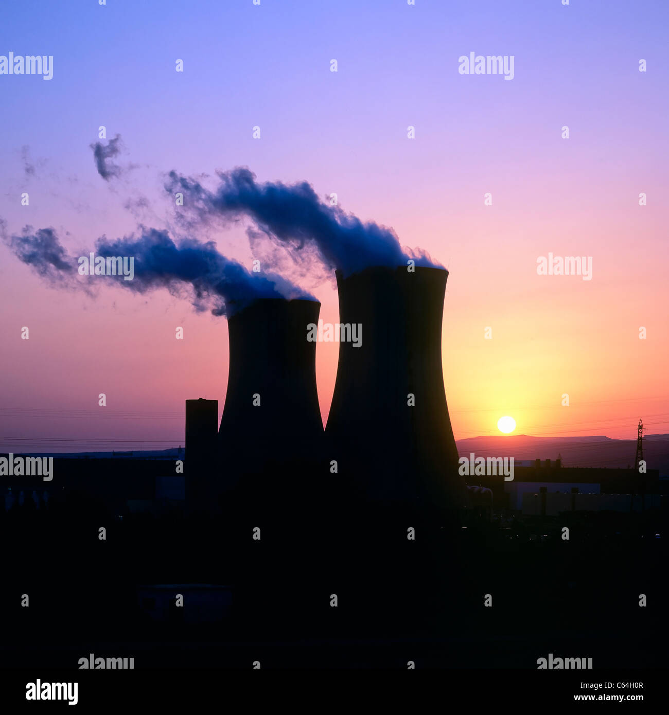 My Image 24