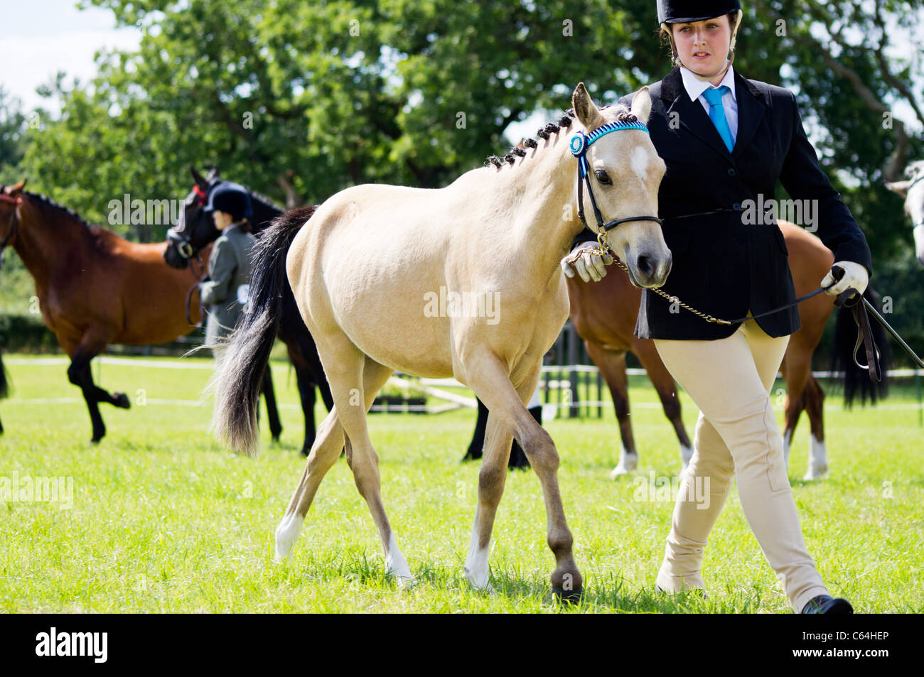 Rider shows off her pony to the judge at the Denmead Horse show Stock