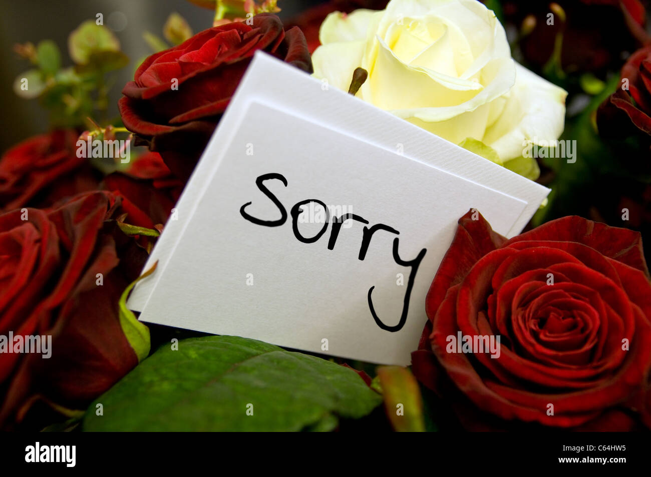 Roses card love sorry hi-res stock photography and images - Alamy
