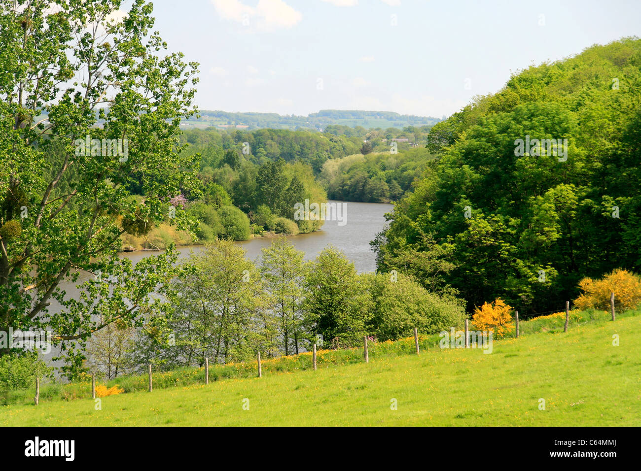 A river in a wooded valley in the spring (River la Mayenne, north of Mayenne, France). Stock Photo