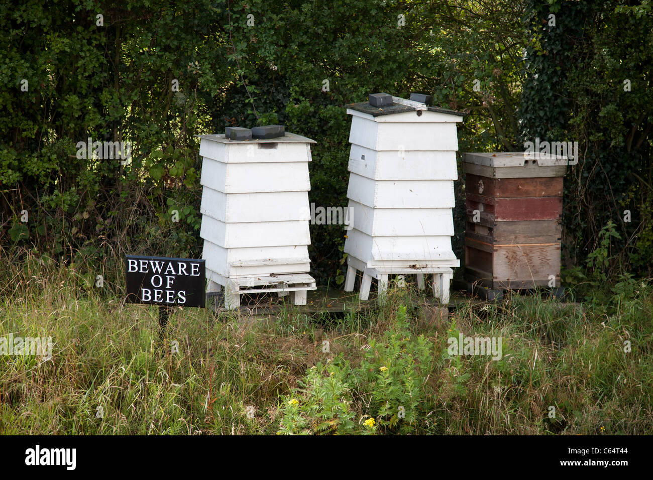 Bee hives kent Stock Photo Alamy