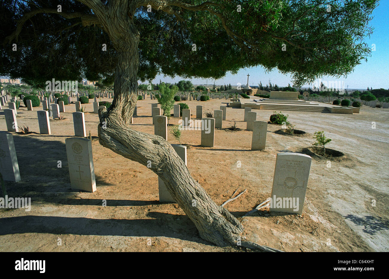 El Alamein War Cemetery, Egypt. The cemetery contains dead from WW2 and is maintained by the Commonwealth War Graves Commission Stock Photo