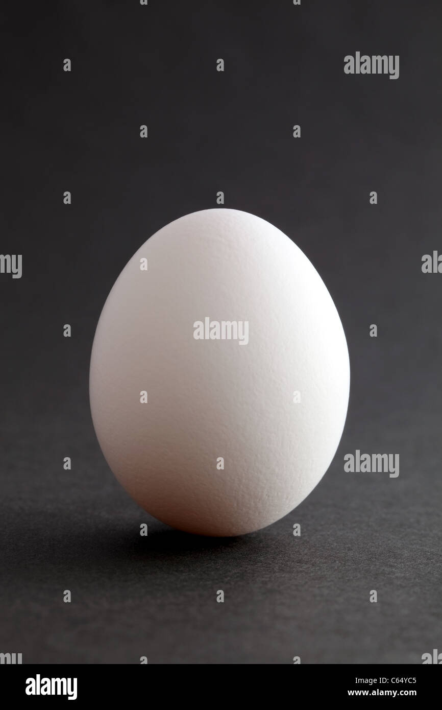 White egg isolated on black background Stock Photo - Alamy