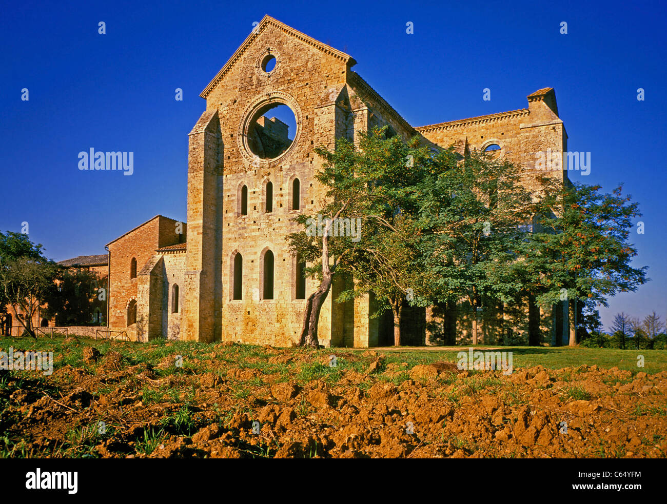 Siena. San Galgano Cistercian abbey Stock Photo