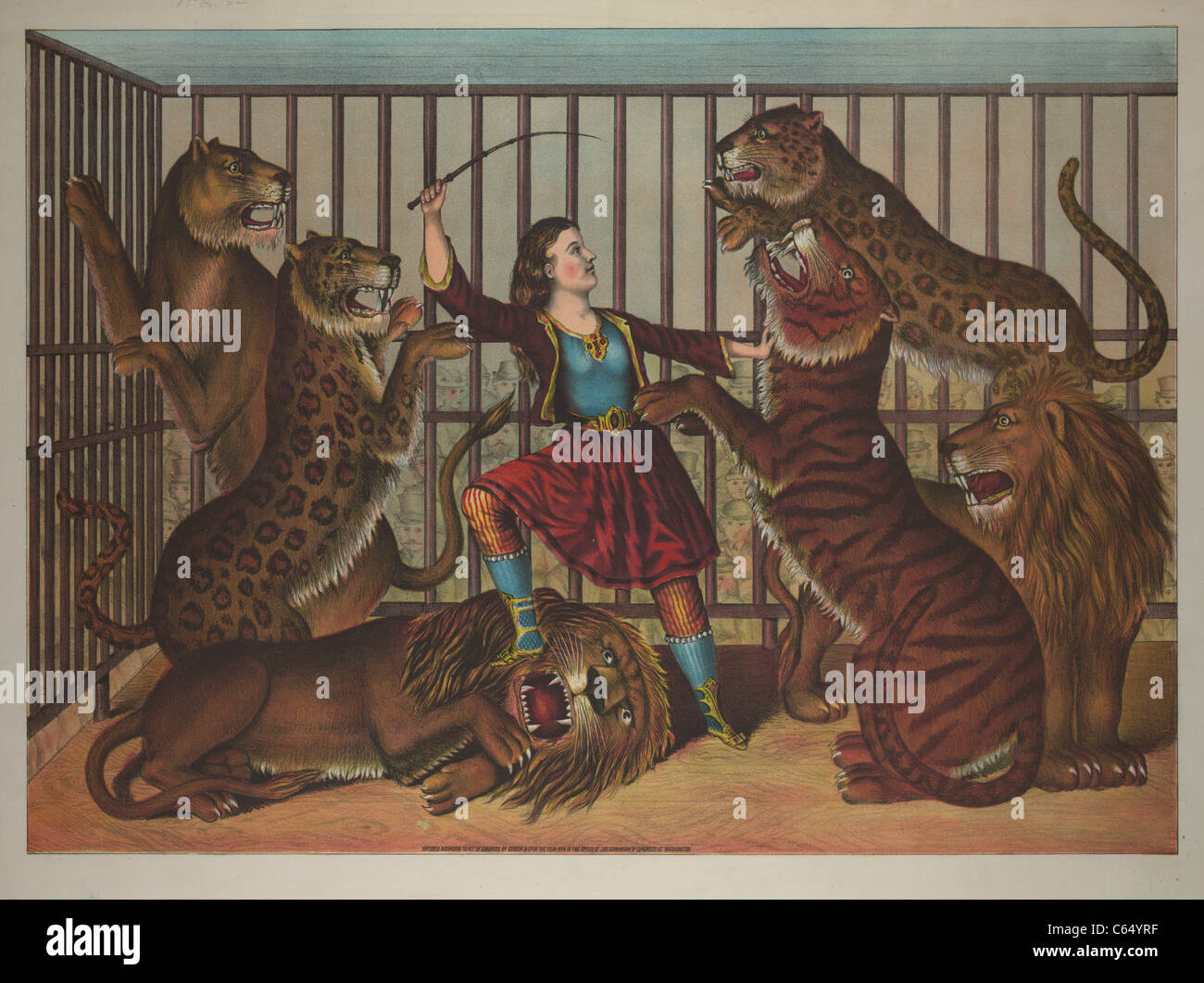 Old Circus Poster of a Woman Taming Tigers and Lions in a Cage Stock Photo