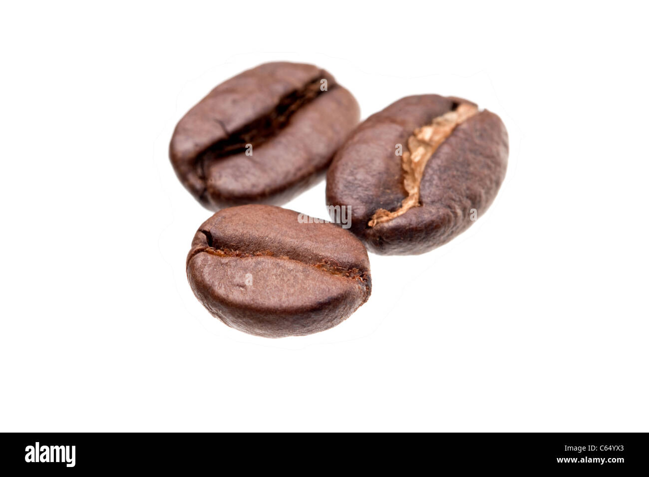 Coffee beans, close up photograph taken in studio Stock Photo
