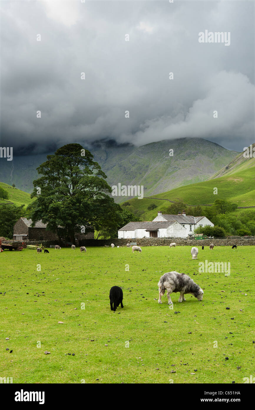 Row head farm wasdale hires stock photography and images Alamy