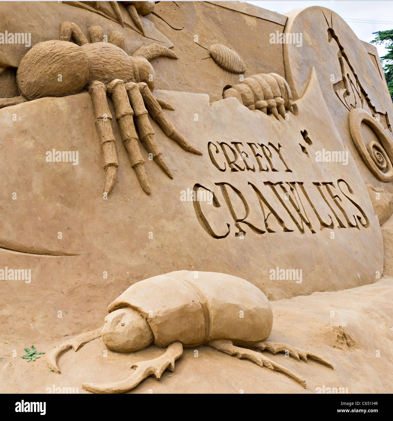 Spider Sand Sculpture Tourist Art Attraction Creepy Crawiles at Frankston near Melbourne Victoria Australia Stock Photo